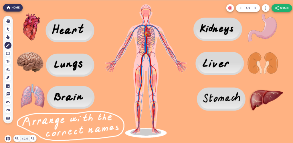 Interactive puzzle for online lesson